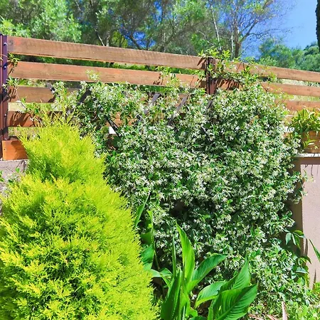 Tatil Evi Kadith Agios Gordios Agios Gordios (Corfu)
